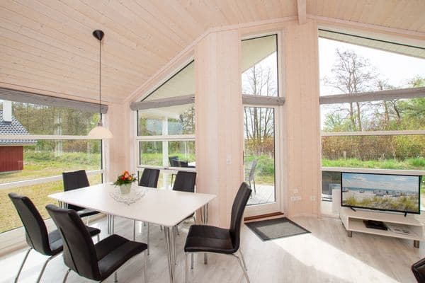 Ferienhaus 103
