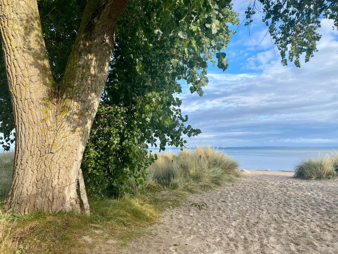 Feriendorf Südstrand - Bild 6