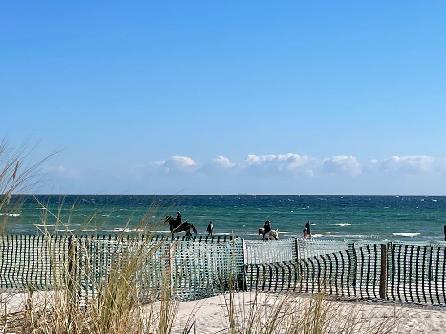 Strand