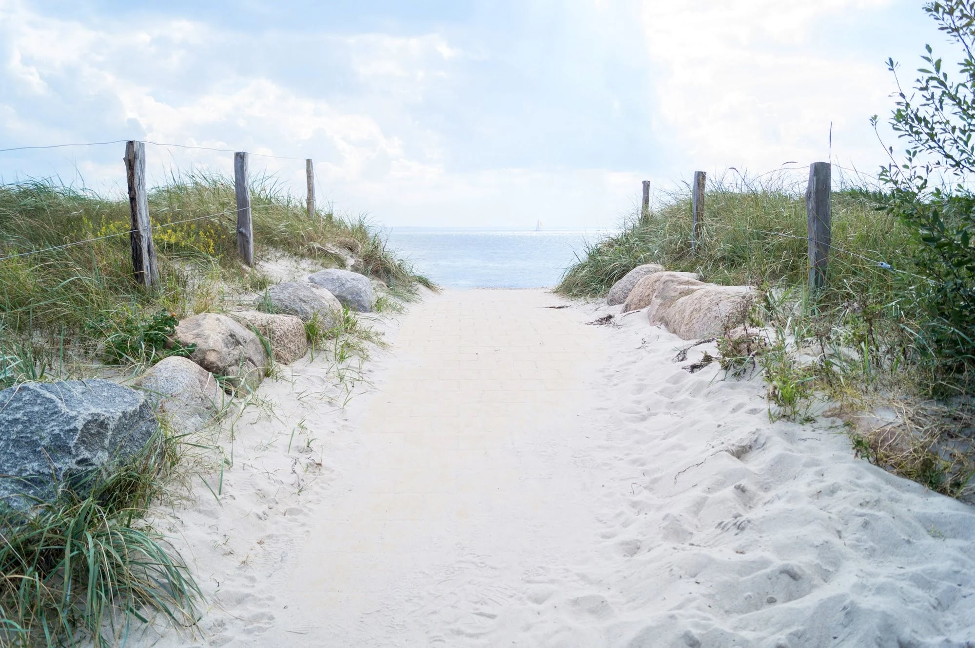 Strandpanorama an der Ostsee mit Dünen und Meer
